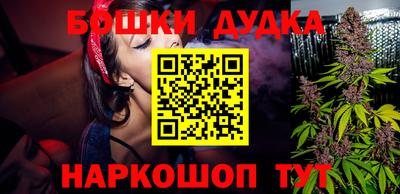 индика Моздок