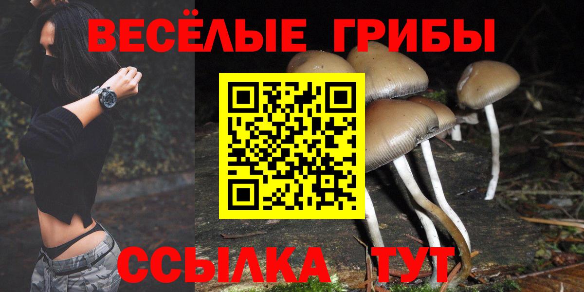 Алексеевка  Псилоцибиновые грибы мицелий  Вход с VPN 